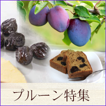 春サンドカタログ