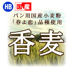 ����ʴ���������̳�ƻ���ѥ��Ѿ���ʴ��2.5kg