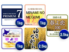 セット 国産小麦 食べ比べセット レシピ付