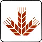 [����å���]�񻺾�����γʴ������ʴ�����ס䡡1kg