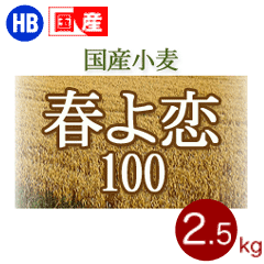 ����ʴ���դ���100���̳�ƻ���ѥ��Ѿ���ʴ��2.5kg