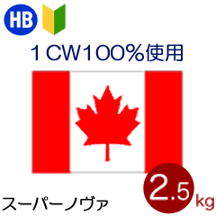 強力粉 スーパーノヴァ「1CW」 パン用小麦粉 2.5kg