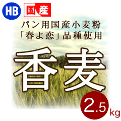 ����ʴ���������̳�ƻ���ѥ��Ѿ���ʴ��2.5kg