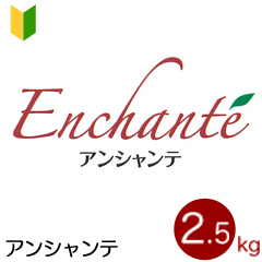 薄力粉 アンシャンテ 菓子用小麦粉 2.5kg