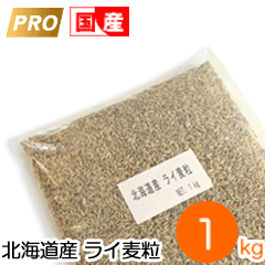 ������ʴ���饤��γ���̳�ƻ���ס�1kg
