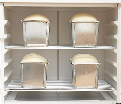 機器 洗えてたためる発酵器PF102 日本ニーダー 送料無料