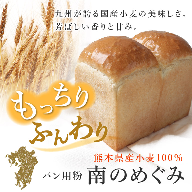 最大60%OFFクーポン mamapan強力粉 イーグル パン用小麦粉 ニップン 10kg flyingjeep.jp