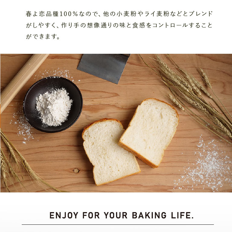 大人の上質 PB 九州産 パン用強力粉 小麦粉 九麦南香 25kg 常温 業務用
