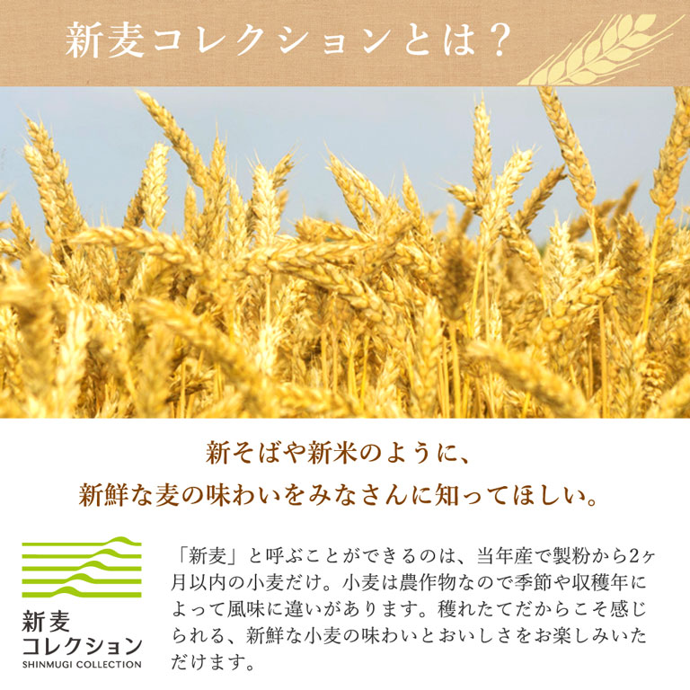 エレガント小麦 大麦 違い 最高の花の画像 エレガント小麦 大麦 違い 最高の花の画像