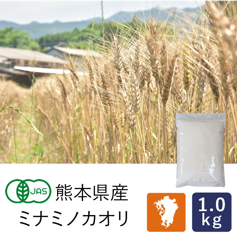 強力粉 2023年度産 有機JAS 熊本県産有機ミナミノカオリ 1kg オーガニック 国産小麦 小麦粉__