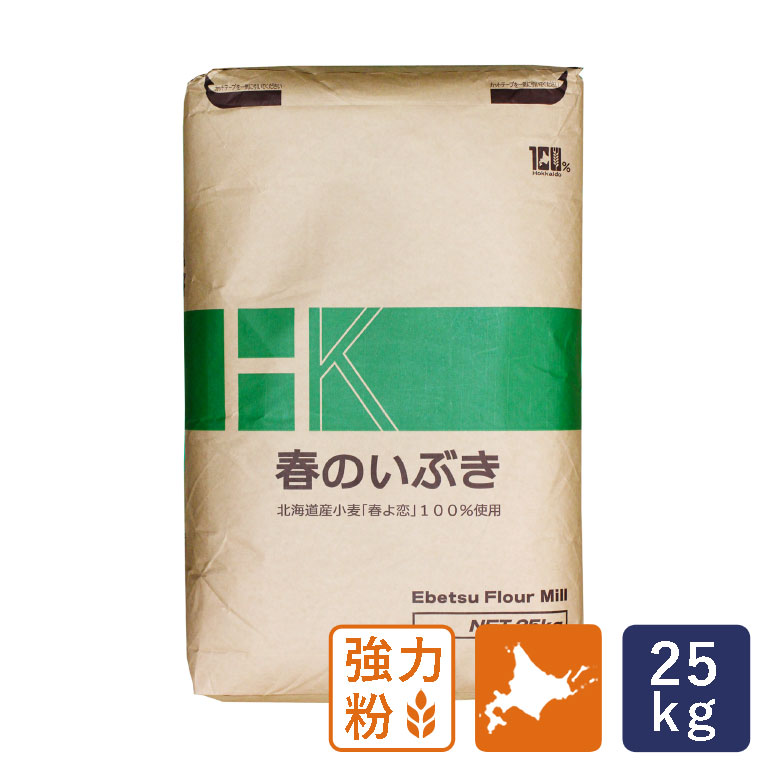 ランキング第1位 強力粉 煉瓦 江別製粉 業務用 25kg 北海道産小麦粉