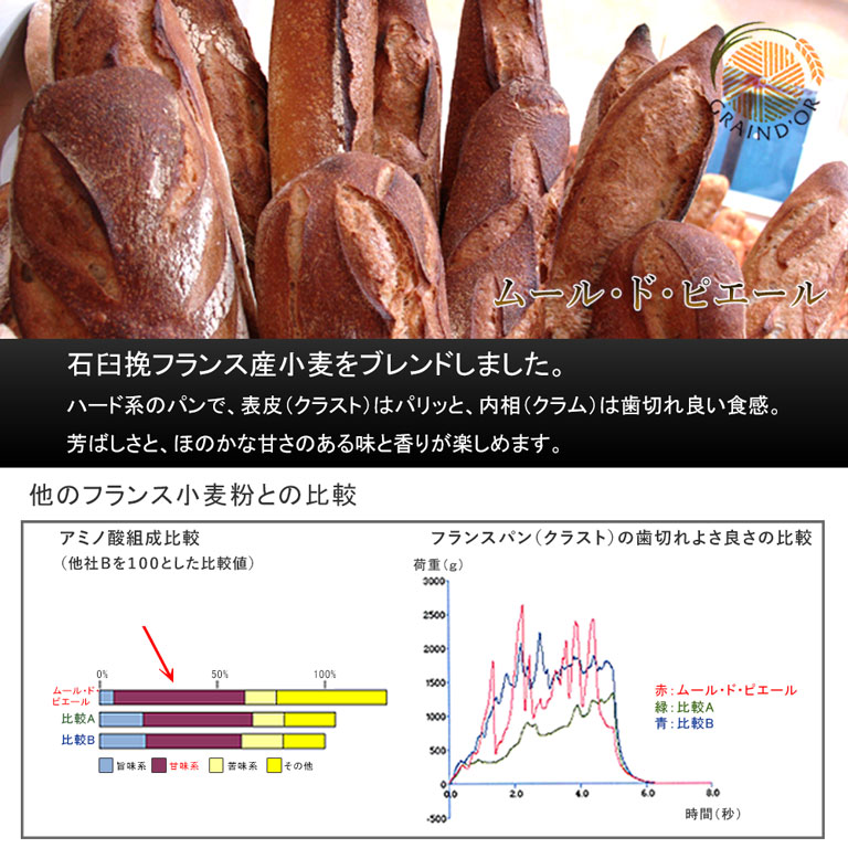 日清製粉 リスドオル 25kg 代表的なフランスパン用粉-準強力粉 個人宅不可 小麦粉 事業所配送