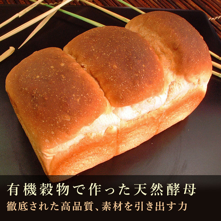 風と光 有機穀物で作った天然酵母 3g×10 ドライタイプ 有機JAS