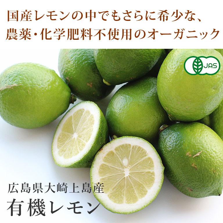 訳あり・広島県産レモン(大玉)15㎏ 訳あり・広島県産レモン(大玉)15㎏