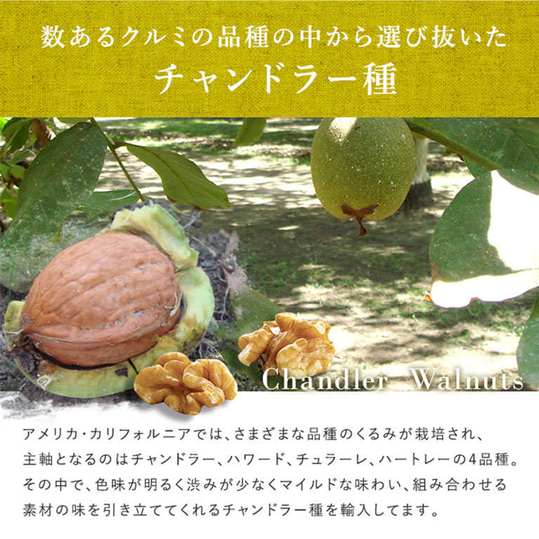 生クルミLHP 業務用 1ケース（11.34kg） カリフォルニア
