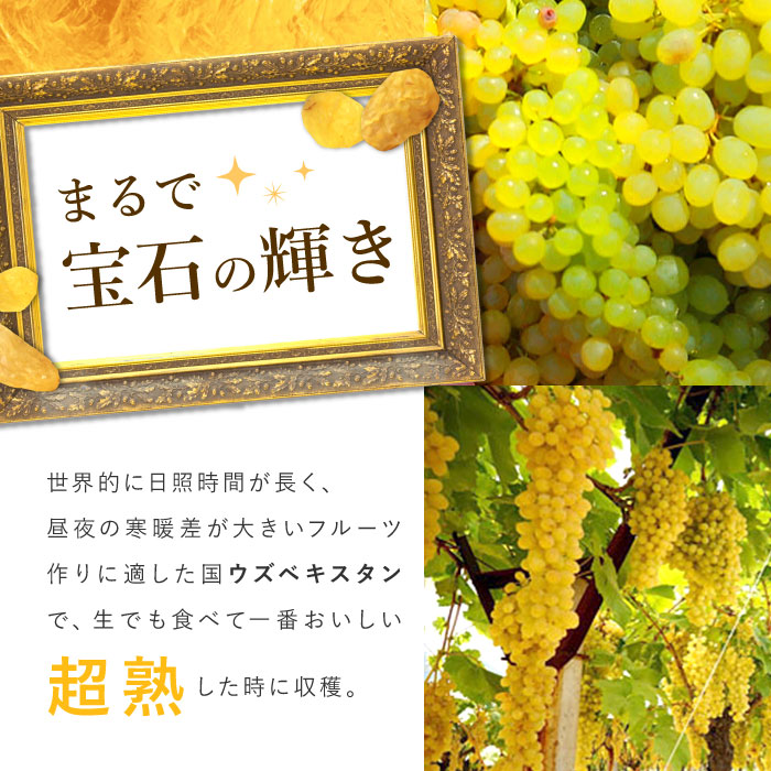 ウズベキスタン産 ジャンボゴールデンレーズン 400g ドライフルーツ 干しぶどう__ 【ママパンWEB本店】小麦粉と優れた食材をそろえるお店
