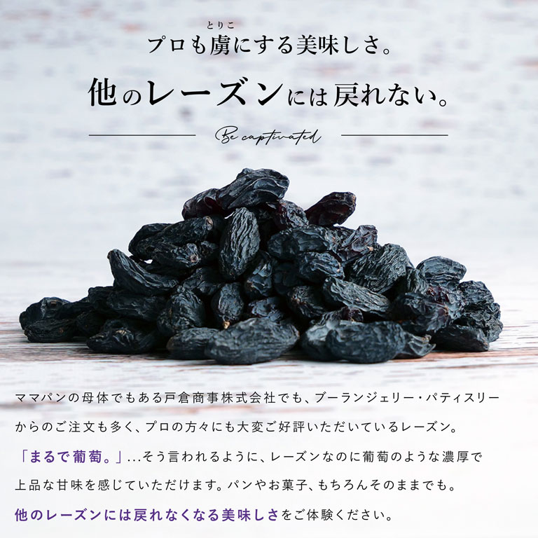 ヨーグルトレーズン500g 検索用/ドライフルーツ チョコレート おやつ