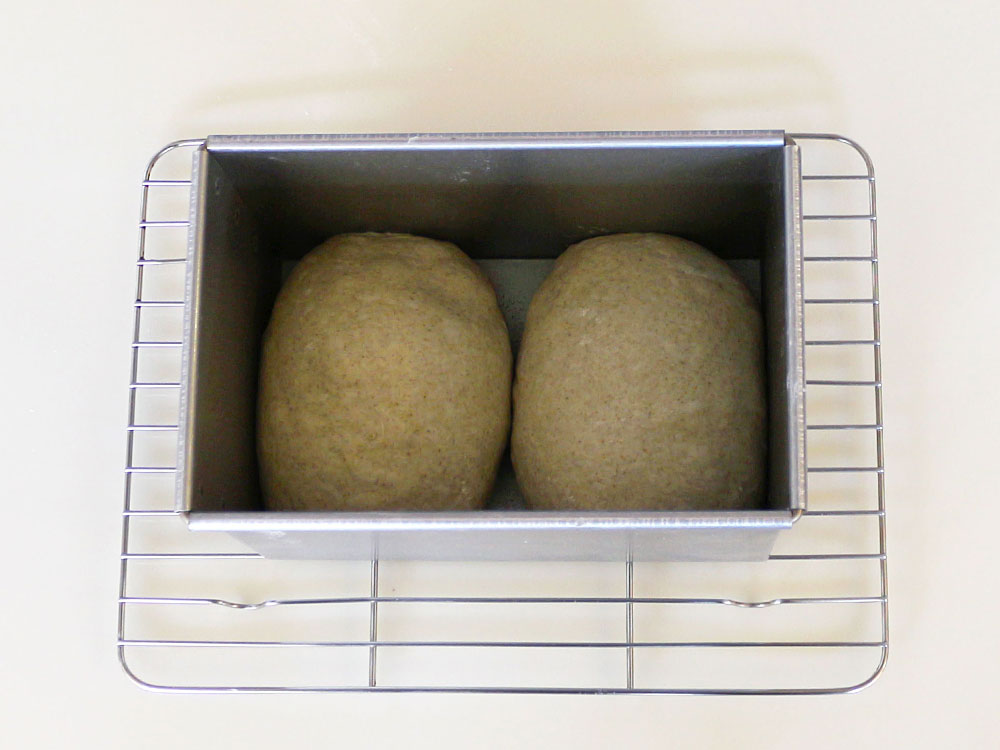 ライ麦山食パン ～ホシノ丹沢酵母パン種使用～