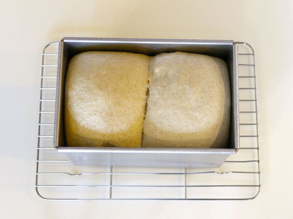 ライ麦山食パン ～ホシノ丹沢酵母パン種使用～