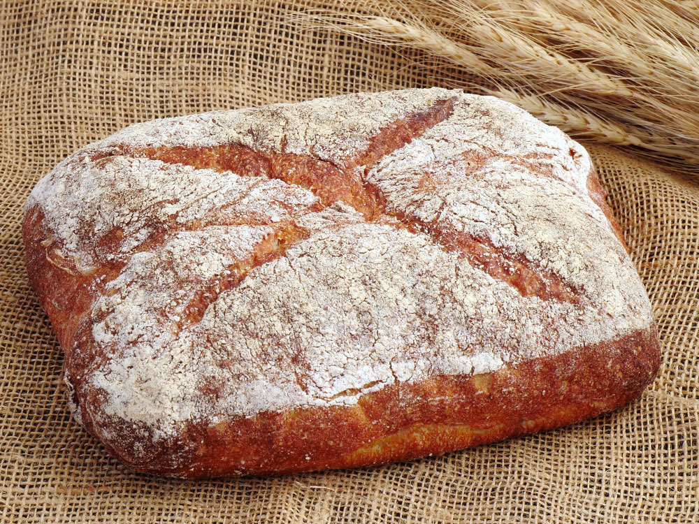 石臼挽もち小麦紅を使ったパン・ド・ロデヴ
