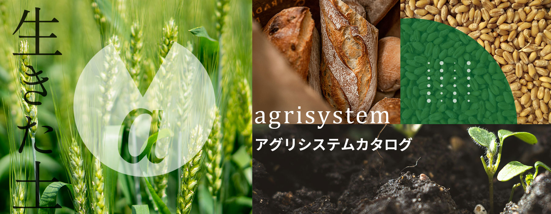 アグリシステム.agrisystem,環境再生型農業.リジェネラティブ,REGENERATIVE,ロブロ,ライ麦,北海道,十勝,製粉,人間の健康
