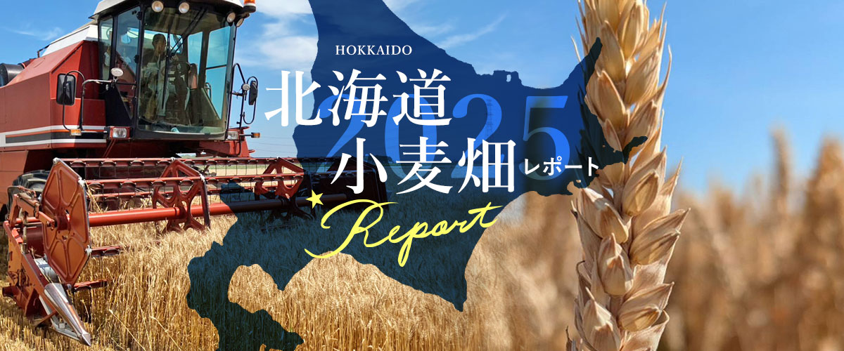 新麦コレクション,北海道小麦畑レポート2025,江別製粉株式会社,ハルユタカ,キタノカオリ