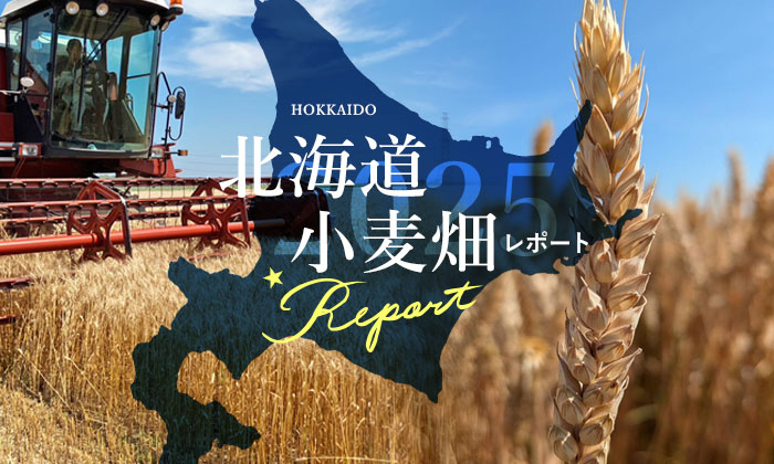 新麦コレクション,北海道小麦畑レポート2025,江別製粉株式会社,ハルユタカ,キタノカオリ