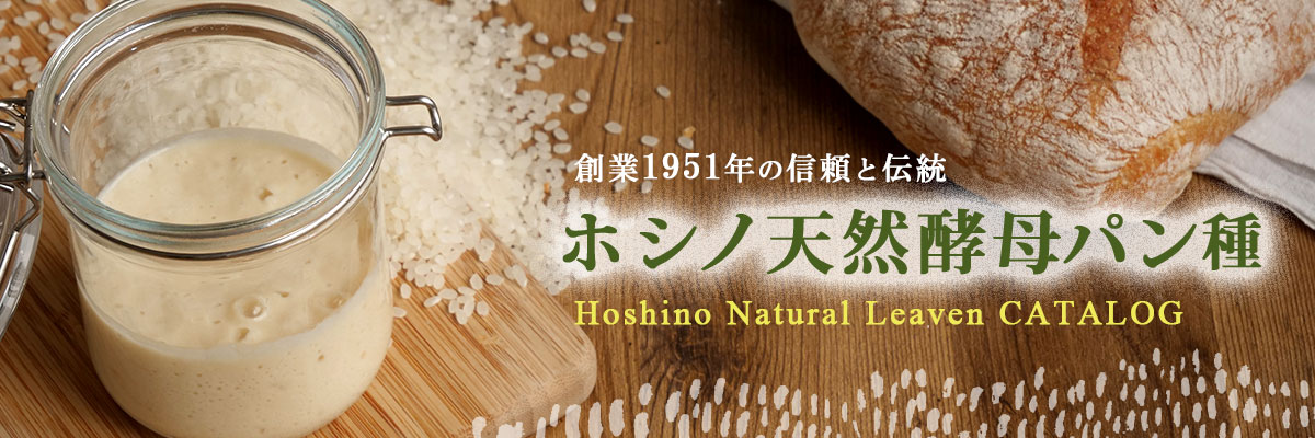 ホシノ天然酵母を使ったパン作り