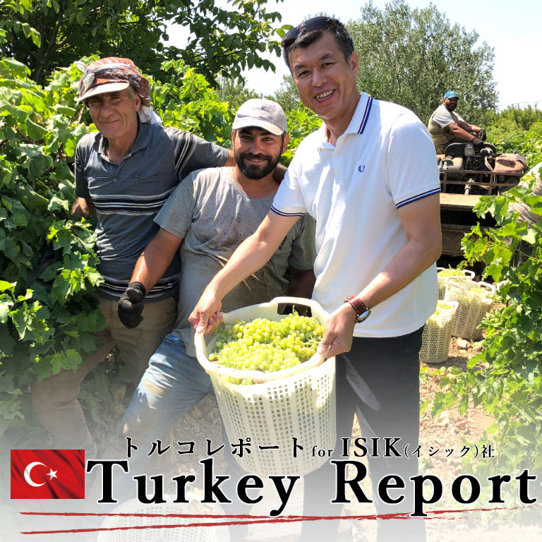 ママパン,コンテンツ一覧,知ってつくって、食べて学ぶ。