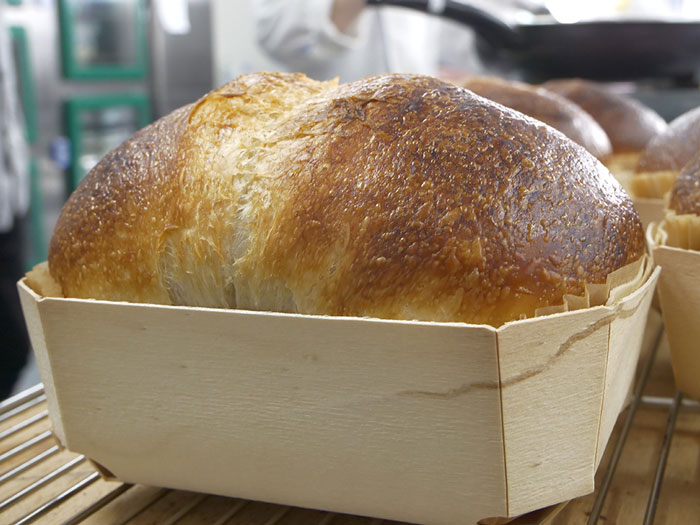 ハードトースト・オリーブバトン